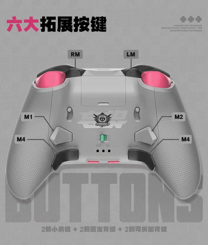 ゼンレスゾーンゼロ 「妄想天使・連携タイム」Vader 6 Pro エリートコントローラー ギフトBOX