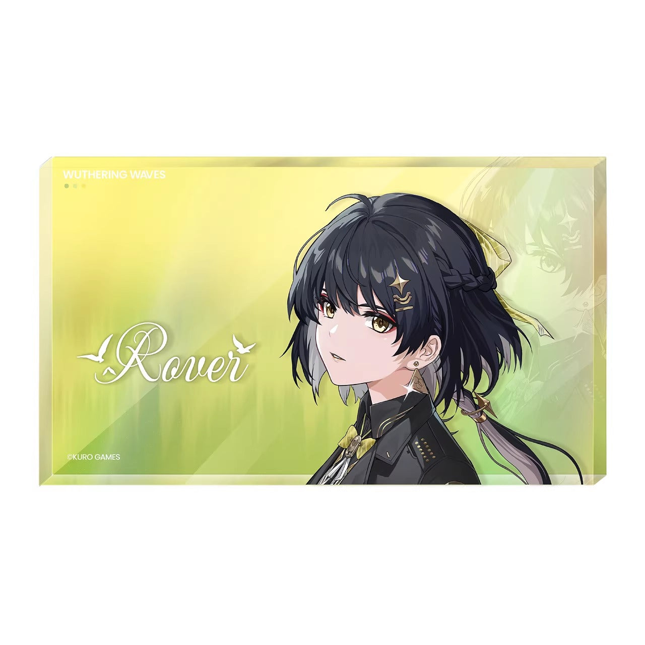 鳴潮 共鳴者テーマ アイコンアクリルブロック KURO Games