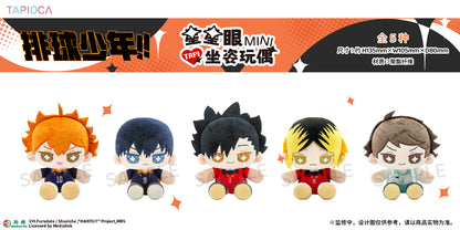 【予約】TAPIOCA 中国限定 ハイキュー!! きらきらおめめ ミニおすわり ぬいぐるみ