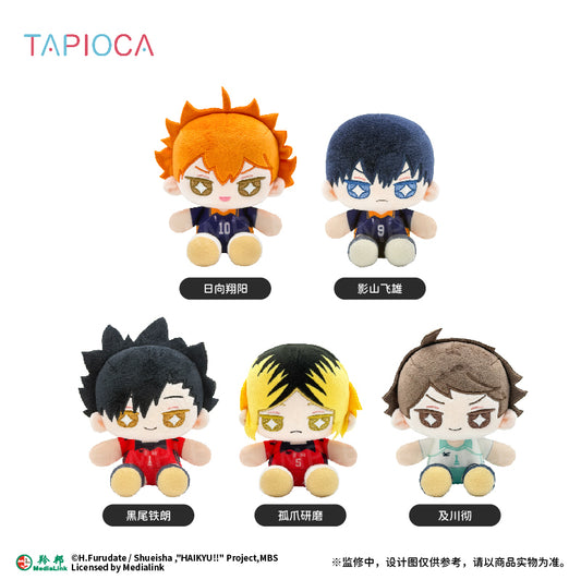 【予約】TAPIOCA 中国限定 ハイキュー!! きらきらおめめ ミニおすわり ぬいぐるみ