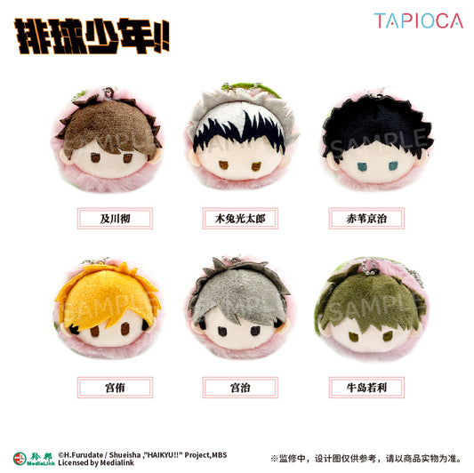 【予約】TAPIOCA 中国限定 ハイキュー!! さくらもち ごろりん ぬいぐるみ vol.2 コンプリートBOX（全6種）