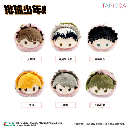 【予約】TAPIOCA 中国限定 ハイキュー!! さくらもち ごろりん ぬいぐるみ vol.2 ブラインドパック