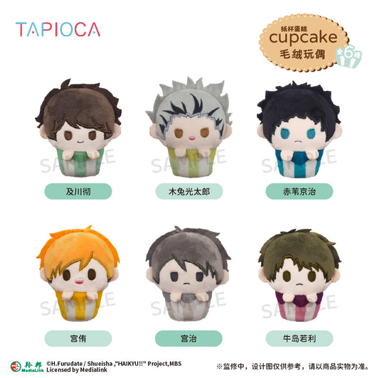 【予約】TAPIOCA 中国限定 ハイキュー!! カップケーキ ぬいぐるみ vol.2 ブラインドパック