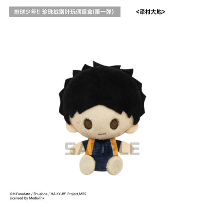 【予約】TAPIOCA 中国限定 ハイキュー!! ぬいぐるみバッジ vol.1 コンプリートBOX（全5種）