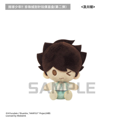 【予約】TAPIOCA 中国限定 ハイキュー!! ぬいぐるみバッジ vol.2 ブラインドパック