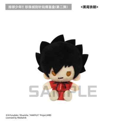 【予約】TAPIOCA 中国限定 ハイキュー!! ぬいぐるみバッジ vol.2 コンプリートBOX（全6種）