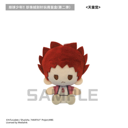 【予約】TAPIOCA 中国限定 ハイキュー!! ぬいぐるみバッジ vol.2 コンプリートBOX（全6種）