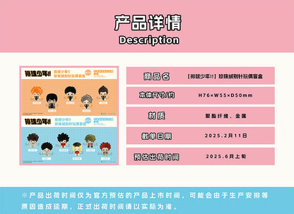 【予約】TAPIOCA 中国限定 ハイキュー!! ぬいぐるみバッジ vol.2 ブラインドパック