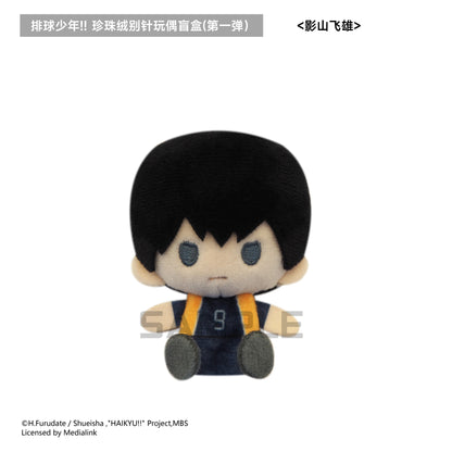【予約】TAPIOCA 中国限定 ハイキュー!! ぬいぐるみバッジ vol.1 コンプリートBOX（全5種）