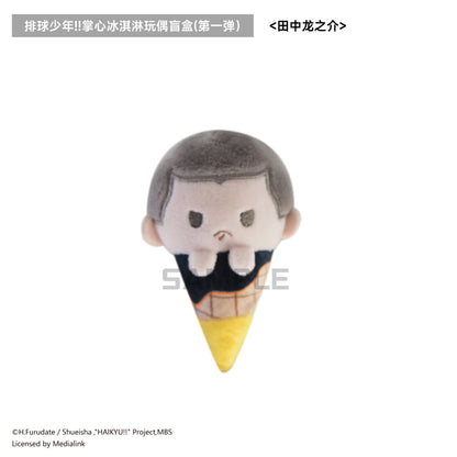 【予約】TAPIOCA 中国限定 ハイキュー!! 手のひらアイスクリーム ぬいぐるみ vol.1 ブラインドパック