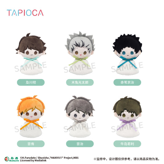 【予約】TAPIOCA 中国限定 ハイキュー!! てるてる坊主 ぬいぐるみマスコット vol.2 コンプリートBOX（全6種）