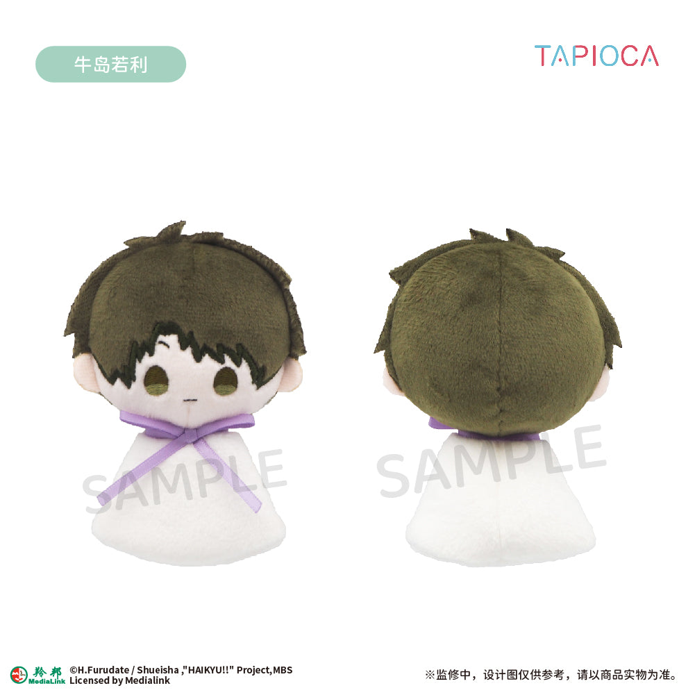 【予約】TAPIOCA 中国限定 ハイキュー!! てるてる坊主 ぬいぐるみマスコット vol.2 コンプリートBOX（全6種）