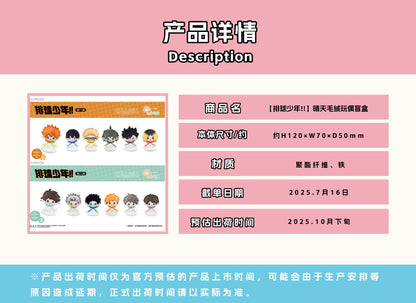 【予約】TAPIOCA 中国限定 ハイキュー!! てるてる坊主 ぬいぐるみマスコット vol.1 コンプリートBOX（全6種）